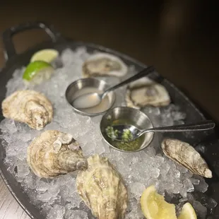 East Coast Oysters