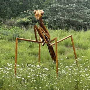 Wooden Mantis!
