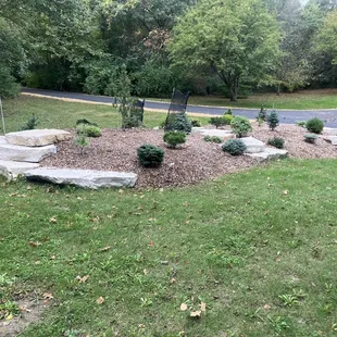 Dwarf Conifer Garden