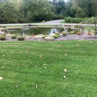 Entry Waterway Feature