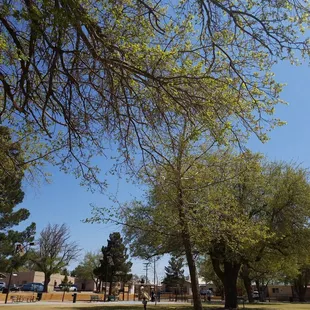 Beautiful day at Klein.