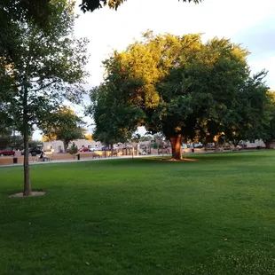 Spacious grass area.