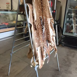 Deer hide