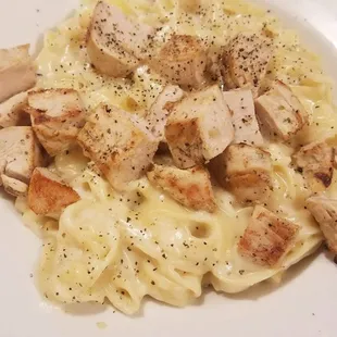 Chicken  alfredo