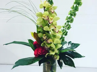 New Leaf Casady Square