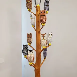Loved these owls!