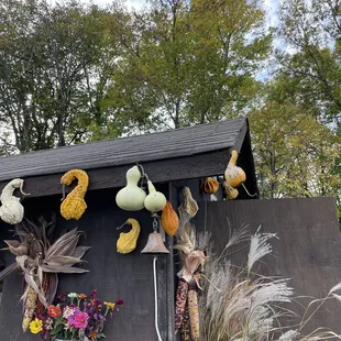 Fall decor of checkout shed