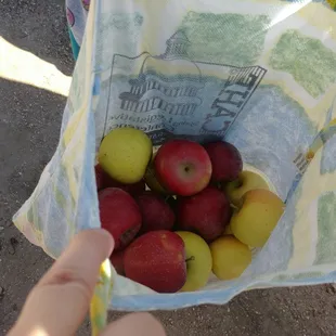 Big bag of apples we picked ourselves.  10 pound minimum.