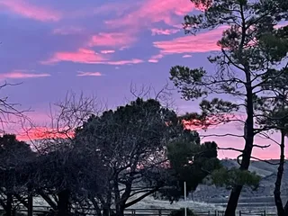 Tehachapi Wine and Cattle