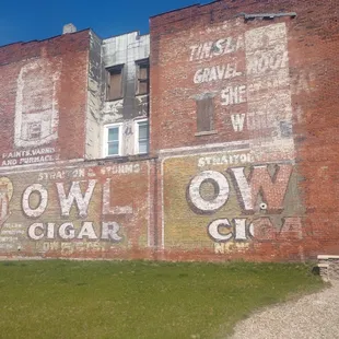 Figures. I hate owl's.