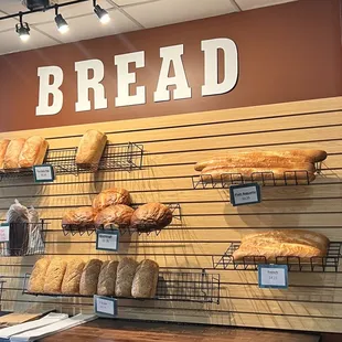 Knead the Bakery