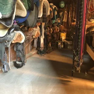 Knicker Knob Stable