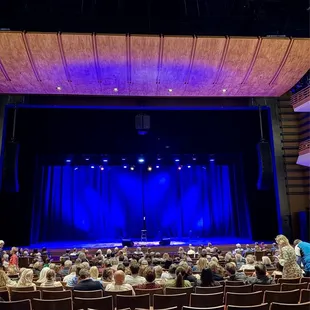 Paula Poundstone stand-up show