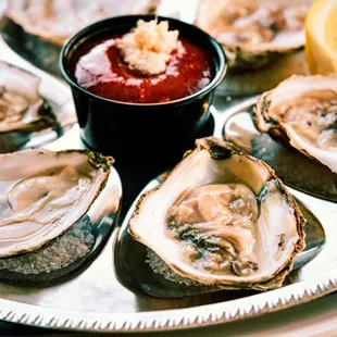 Fresh Oysters