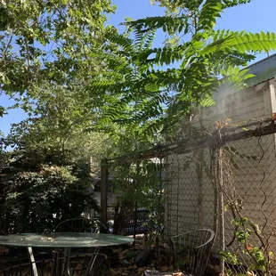 Beautiful Seating Area