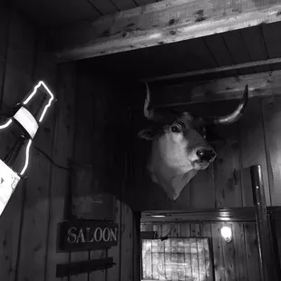 Ain't no Bull at the Saloon