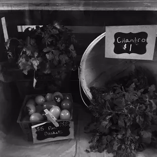 Local organic produce!