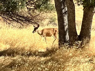Glory Hole Recreation Area