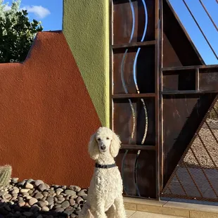 Just look at how straight that line is! A design like this looks like crap if done wrong, and over the moon if done right. Gary did it right