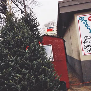 I love that they have Christmas trees. ;)