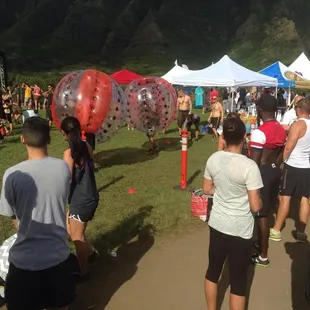 Makahiki Challenge Fun!