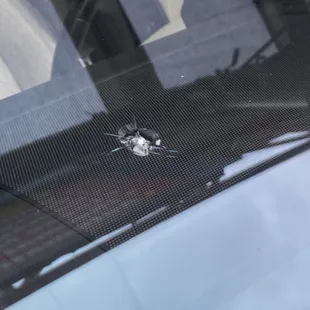 We can fix that! Don't wait until it spreads.