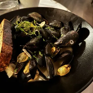 food, oysters and mussels, mussels, shellfish, oysters