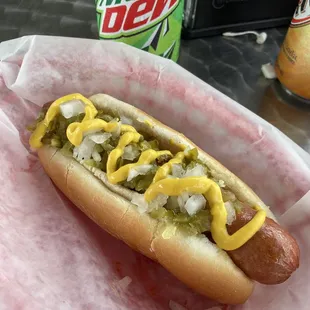 Fenway dog