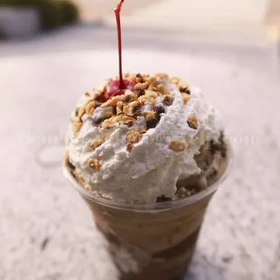 junior black and tan; yes I eat too much ice cream :)