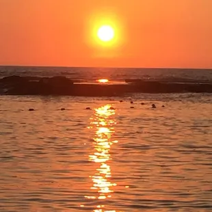 Sunset