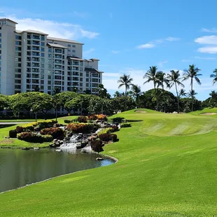 Gorgeous water features