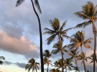 Ko Olina