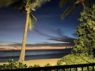 Hawaiian Princess Makaha