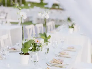 Aloha Bridal Connections