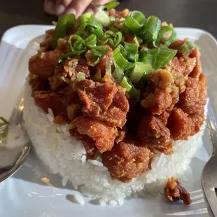 14. Torikara Don (No spicy sauce)