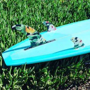 KBS styled out my log with this 2+1 set up from island fin design.