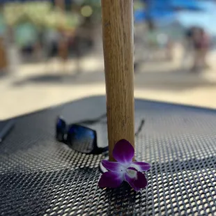 a purple flower on a table