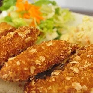 Oat Meal fish yelper