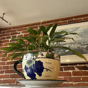a potted plant on top of a coffee cup