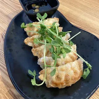 Gyoza the Fried Dumplings
