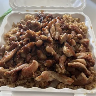 Hibachi chicken -- burnt taste, no veggies and bland.