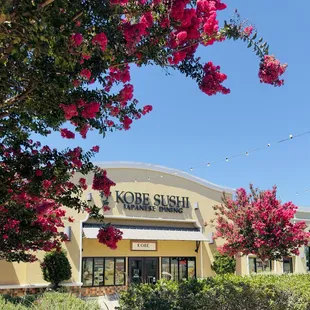 Beautiful day outside of Kobe