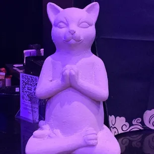 Zen cat