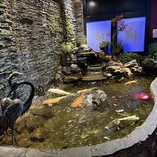 interior, oysters and mussels