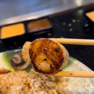 Kobe Steak & Sushi Hibachi Grill & Bar