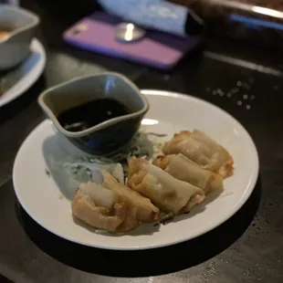 Gyoza!