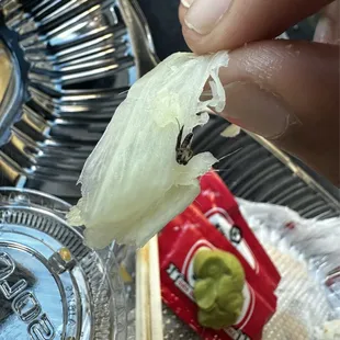 Spicy Tuna Mayo, a side of ginger. We found a bug in our food.