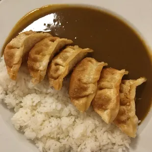 Gyoza Curry