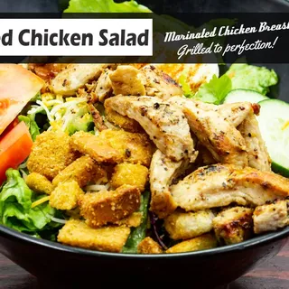 Grilled Chicken Salad