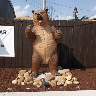 This bear stands out front